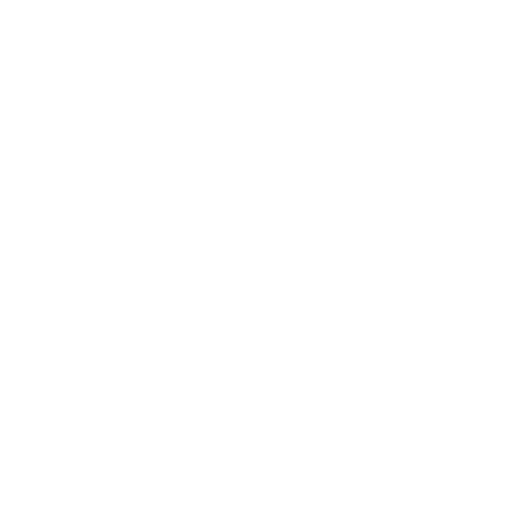 VR CUSTOMS